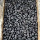 تمور عجوة وصفاوي فاخرة