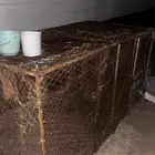 شبك دجاج تفصيل