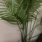 للبيع المستعجل