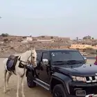 جيب بايك bj40 2022