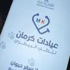 قطه هملايا للبيع