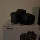 canon 250D
