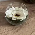 فازه