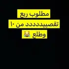 مطلوب ربع تقصييدمن 10