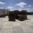 طبليات