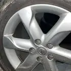 جنوط مورانو للبيع