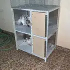 التصوير ظالم الحمام وفي الليل