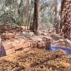 تمر متلبن رهاط