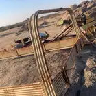 شد شاص عقرب