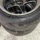 ويلدات
