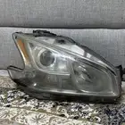 شمعه مكسيما