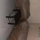 جلسة خارجية حوش
