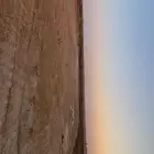 مخيم عقم كبير على نفس الطريق الجويه عقم مخيم