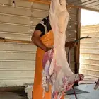 سواكن مرابي 4 شهور علف طيب وشحمم واوزان طيبه