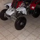 لبيع دباب بانشي