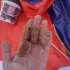 تمر خلاص اشقر جامبو كرتون 20 كيلو