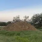 سماد غنم قديم