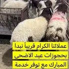 طليان نعيم