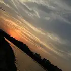 مطلوب شقه غرفة وصالة