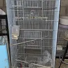 مطير طيور نظيف جديد