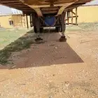 تيذر