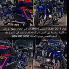 قواد