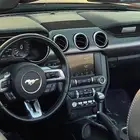 موستنج كشف شبه وكاله