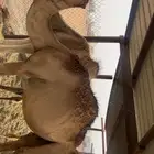 قعدان سواحل مرابي 3شهور ونص