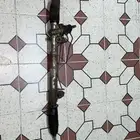 مجموعة هايلكس 2015 وكالة