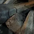 رز مندي دجاج