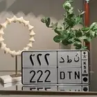 لوحة مميزة للبيع 222
