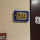 مطلوب شقة اجار