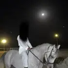 حصان أشعل واهو