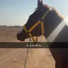 مهر شعبي