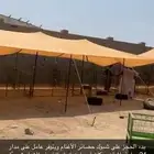 شبوك للايجار