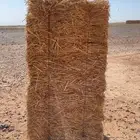 تبن قمح شد شركة