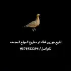 قطاء للبيع