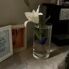 سمك الفايتر بفازه ماتحتاج اكسجين وفلتر