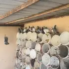 حمام زاجل خطين   تم البييع