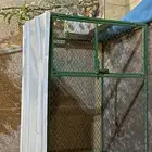شبك طيور