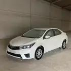 كورلا 2015