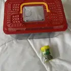 بيت حيوانات (حوض سلحفاه او سمك ) واكل