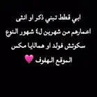 قطط للتبني الهفوف