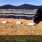 بيت شعر صناعه سوريه 12 في 4 اخو الجديد