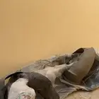 اكسنت 2019 2020