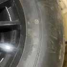 جنوط برايد مع كفرات بالون وطيه شاهين اخت الجديد