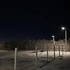 تدريب ركوب خيل