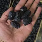 عجوه المدينه