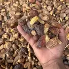 تمر علف