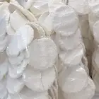 عرض اليوم الوطني مضير